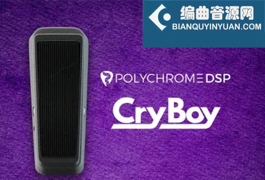 Wah音效果器 PolyChrome DSP Cry Boy v1.0 TCD Win