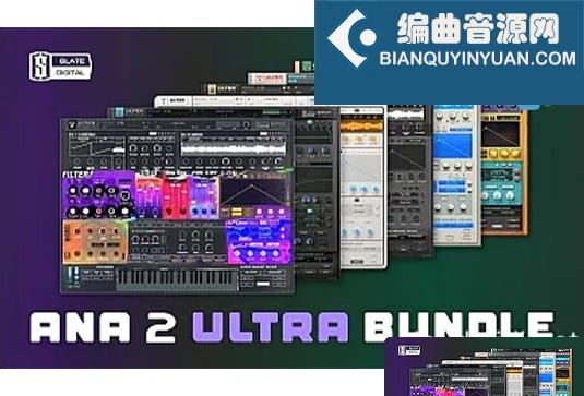 波表合成器板岩终极版 Slate Digital ANA 2 Ultra Bundle v2.0.99 Win （包含ANA2）