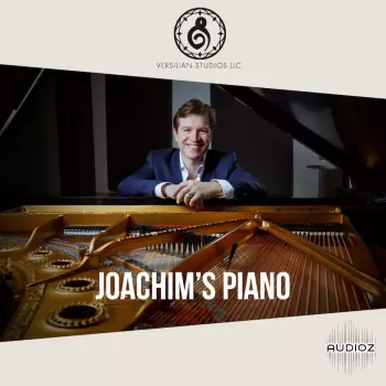 1890年的施坦威B钢琴 Versilian Studios Joachim’s Piano KONTAKT