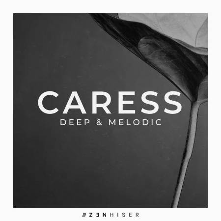 Zenhiser Caress Deep and Melodic WAV-FANTASTiC