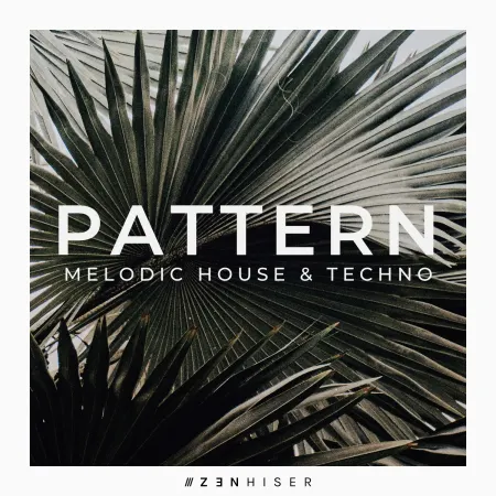 Zenhiser Pattern Melodic House and Techno WAV-FANTASTiC