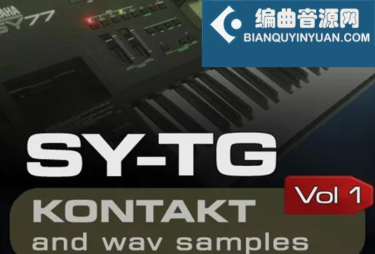 键盘合成器采样音色库 Amazound Samples SY-TG