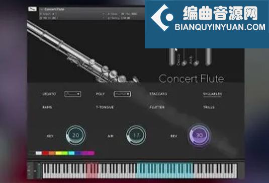 音乐会长笛 Auddict Daniela Mars Concert Flute