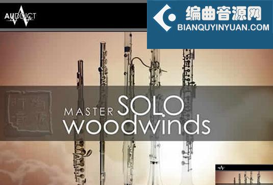 木管独奏系列合集 Auddict Master Solo Woodwinds Bundle （包含MSW Solo Bassoon Clarinet Flute Oboe Piccolo）