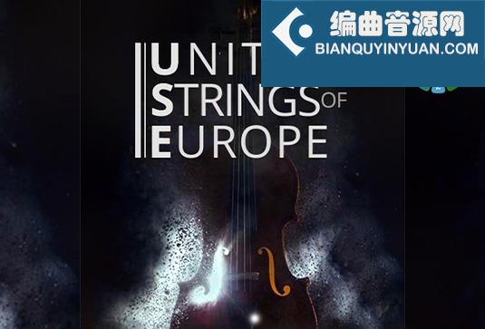 第二小提琴 Auddict United Strings of Europe Second Violins