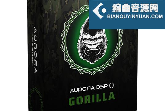 贝司放大器 Aurora DSP Gorilla v1.0.0