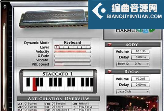 半音阶口琴 Best Service Chris Hein Chromatic Harmonica