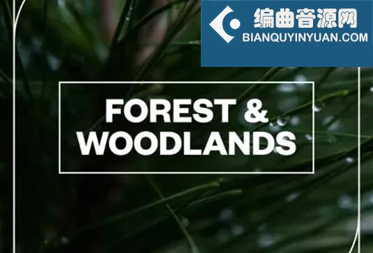 树林环境音效包 Blastwave FX Forest and Woodlands WAV