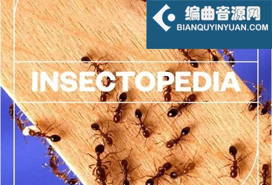 昆虫类音效包 Blastwave FX Insectopedia WAV