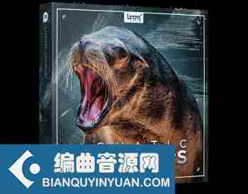 海狮、海豹、海象和海豚音效包 – Boom Library Aquatic Predators WAV
