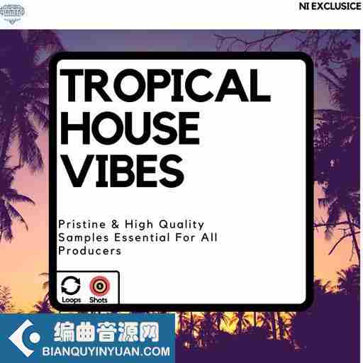 Diamond Sounds Tropical House Vibes WAV-FANTASTiC