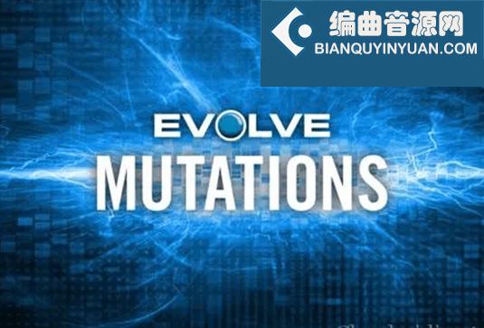 电影节奏及旋律 Native Instruments Evolve Mutations