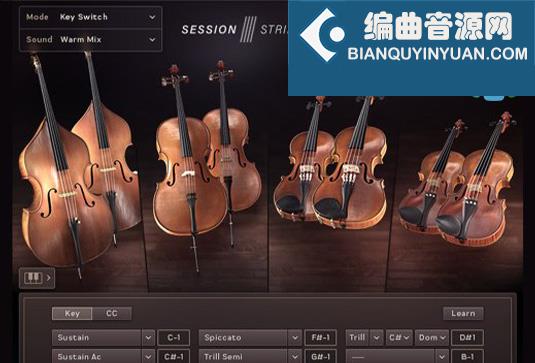现代弦乐合奏音色 Native Instruments Session Strings Pro 2 v1.0.5