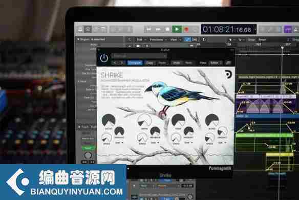 高级混响调制插件 – Puremagnetik Shrike 1.0.1 Win/Mac