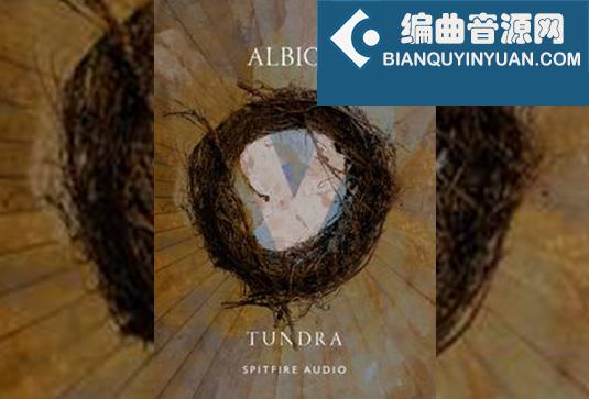 喷火管弦乐 Spitfire Audio Albion V Tundra