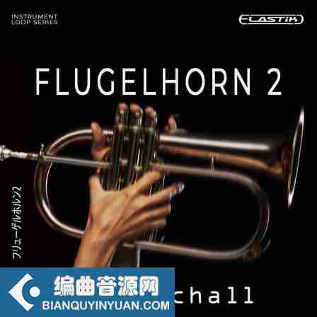 Ueberschall Flugelhorn 2 ELASTIK