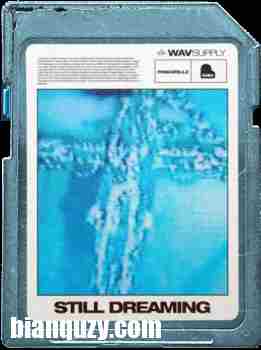 WavSupply PinkGrillz88 Still Dreaming (Loop Kit) WAV-FANTASTiC