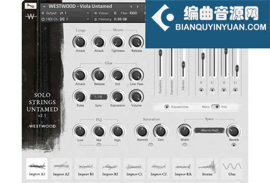 弦乐独奏 Westwood Instruments Solo Strings Untamed v2.1