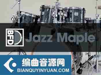 inMusic Brands BFD Jazz Maple Bonus Cymbals (BFD3)
