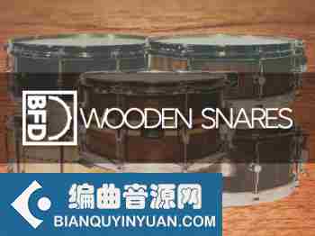 inMusic Brands BFD Wooden Snares (BFD3)