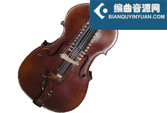 特制弦乐器 8Dio Bazantar