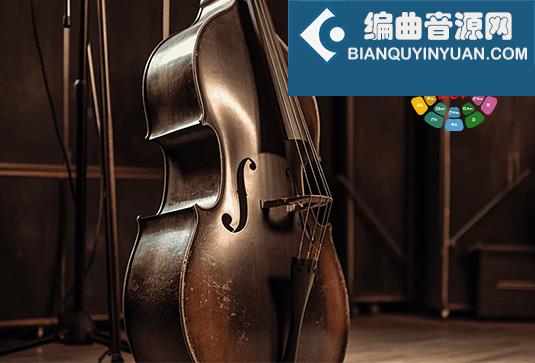 深情独奏低音提琴 8Dio Studio Quartet Series Deep Solo Bass