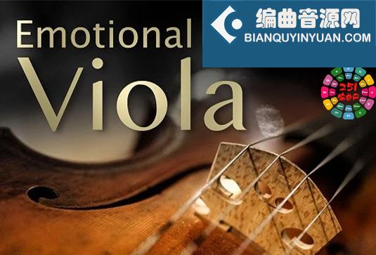 情感中提琴 Best Service Emotional Viola