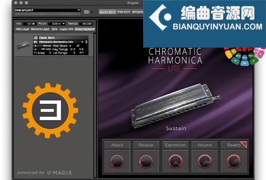 半音阶口琴 Best Service Chris Hein Chromatic Harmonica Lite (Engine 2)