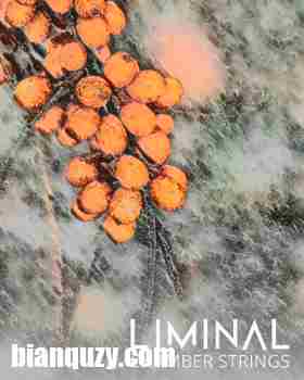 室内弦乐 – Crocus Soundware LIMINAL Chamber Strings KONTAKT