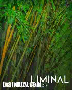 长笛 – Crocus Soundware LIMINAL Winds KONTAKT