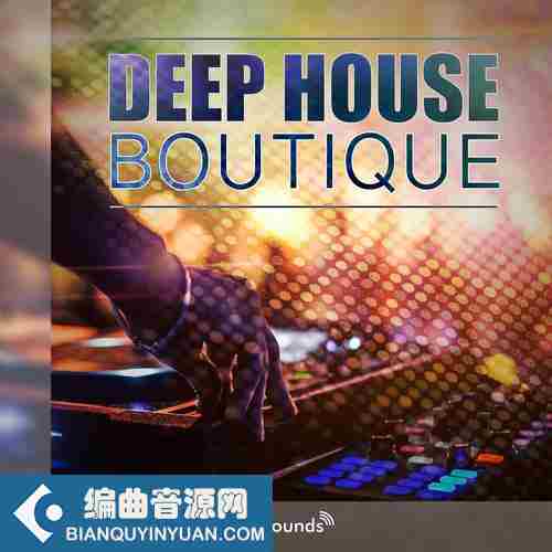 Steinberg Deephouse Boutique 1 VSTSOUND