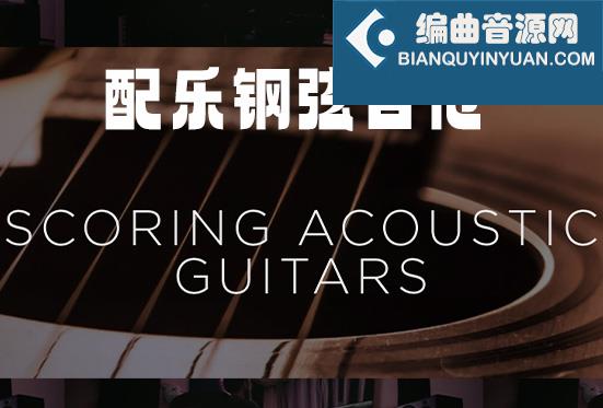 配乐钢弦吉他 Heavyocity Scoring Acoustic Guitars