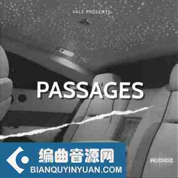 Loops 4 Producers Passages WAV