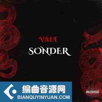 Loops 4 Producers Sonder WAV