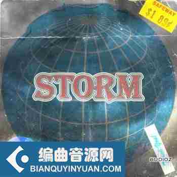 Loops 4 Producers Storm WAV