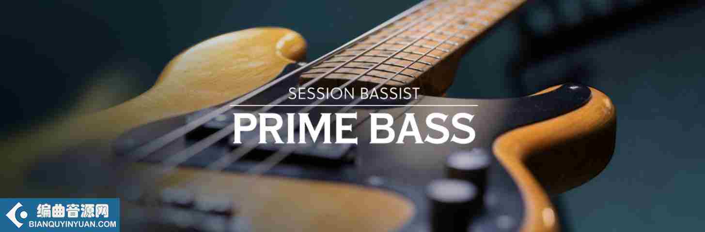 贝斯音源 – Native Instruments SESSION BASSIST PRIME BASS KONTAKT