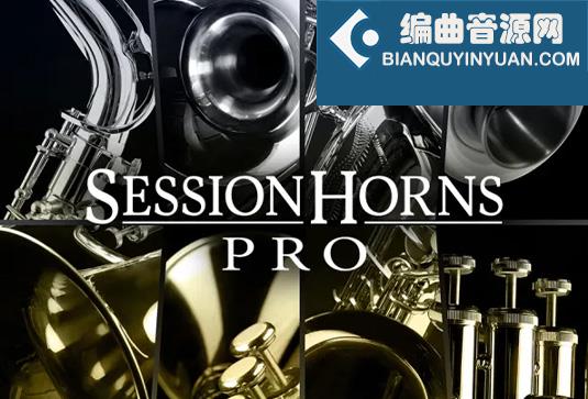 现代铜管乐器 Native Instruments Session Horns Pro v1.5.0