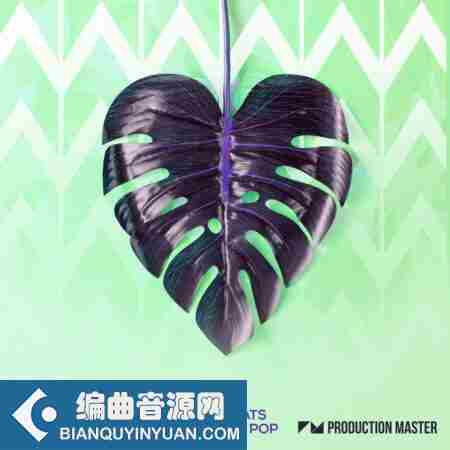 Production Master Future Beats and Tropical Pop WAV-FANTASTiC