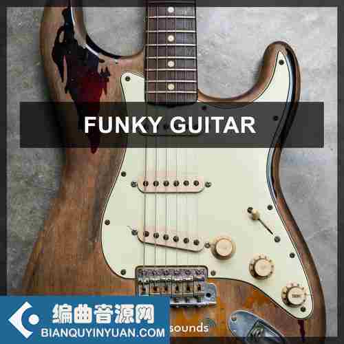 Steinberg Funky Guitar 1 VSTSOUND