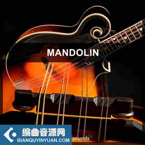 Steinberg Mandolin VSTSOUND