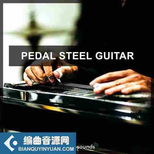 Steinberg Pedal Steel Guitar VSTSOUND