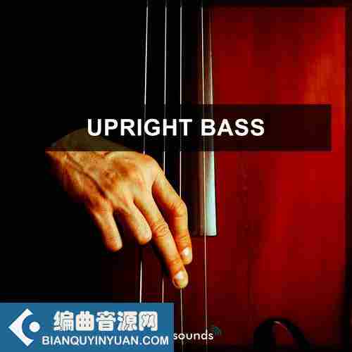 Steinberg Upright Bass 1 VSTSOUND