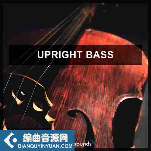 Steinberg Upright Bass 2 VSTSOUND