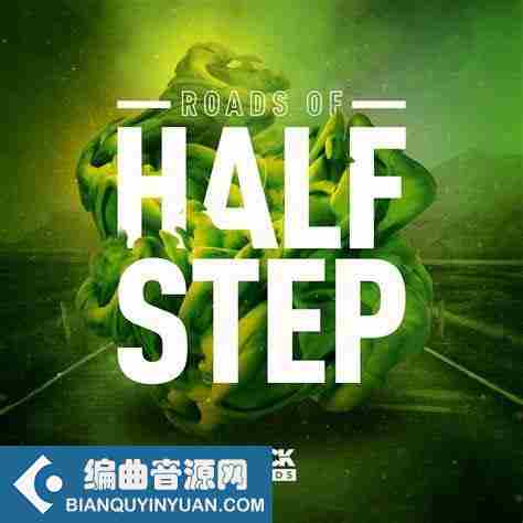 THICK Sounds Roads Of Halfstep WAV-FANTASTiC