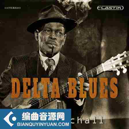 Ueberschall Delta Blues ELASTIK