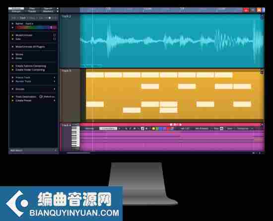 Tracktion Software Waveform 12 Pro 12.0.53 WIN