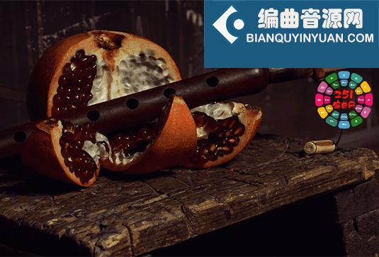嘟嘟克笛音色 8Dio 3 Duduks Kontakt