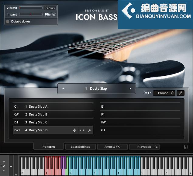 Native Instruments Session Bassist Icon Bass 传奇电贝司音源