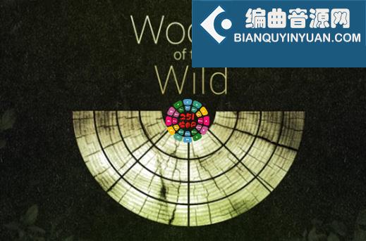 自动配乐木管音源 Best Service TO Woods Of The Wild