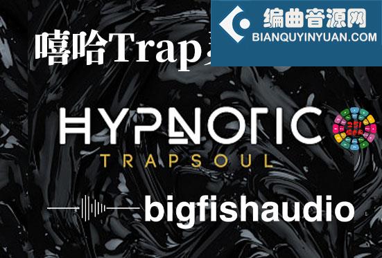 嘻哈Trap灵魂音源 Big Fish Audio Hypnotic Trapsoul